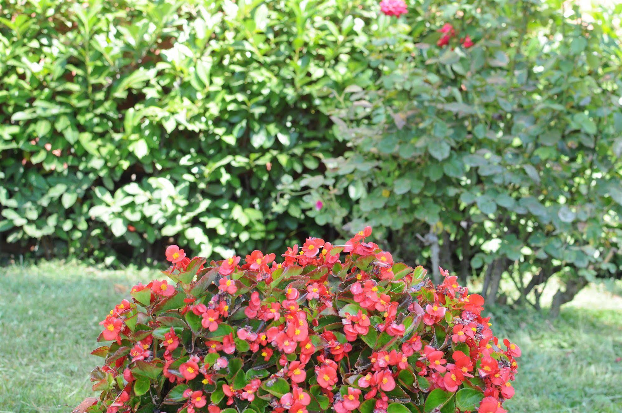 Marinetta Bed & Breakfast Signa Kültér fotó